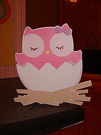 Pink owl hatchling